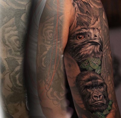 Coverups — IMG